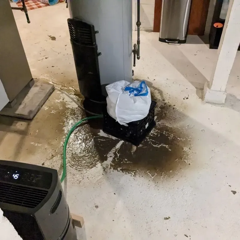 Sewage Backup Cleanup Service in Guttenberg, NJ